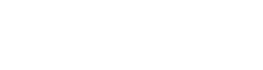 PureGlobe Consulting Services